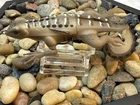 5.25" Skitter Lizard 3/4 oz Creature Lure Bass Fishing Weedless