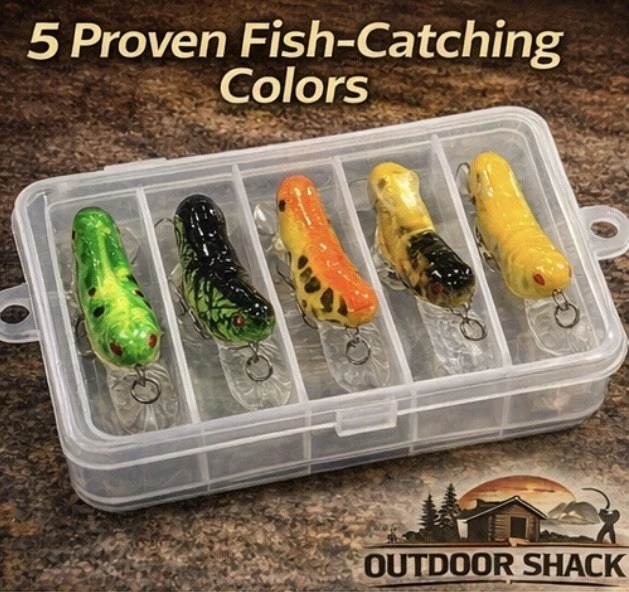 Grasshopper Fishing Lure Kit w/ Tackle Box 5pc Set Crankbait Trout Bass Crappie
