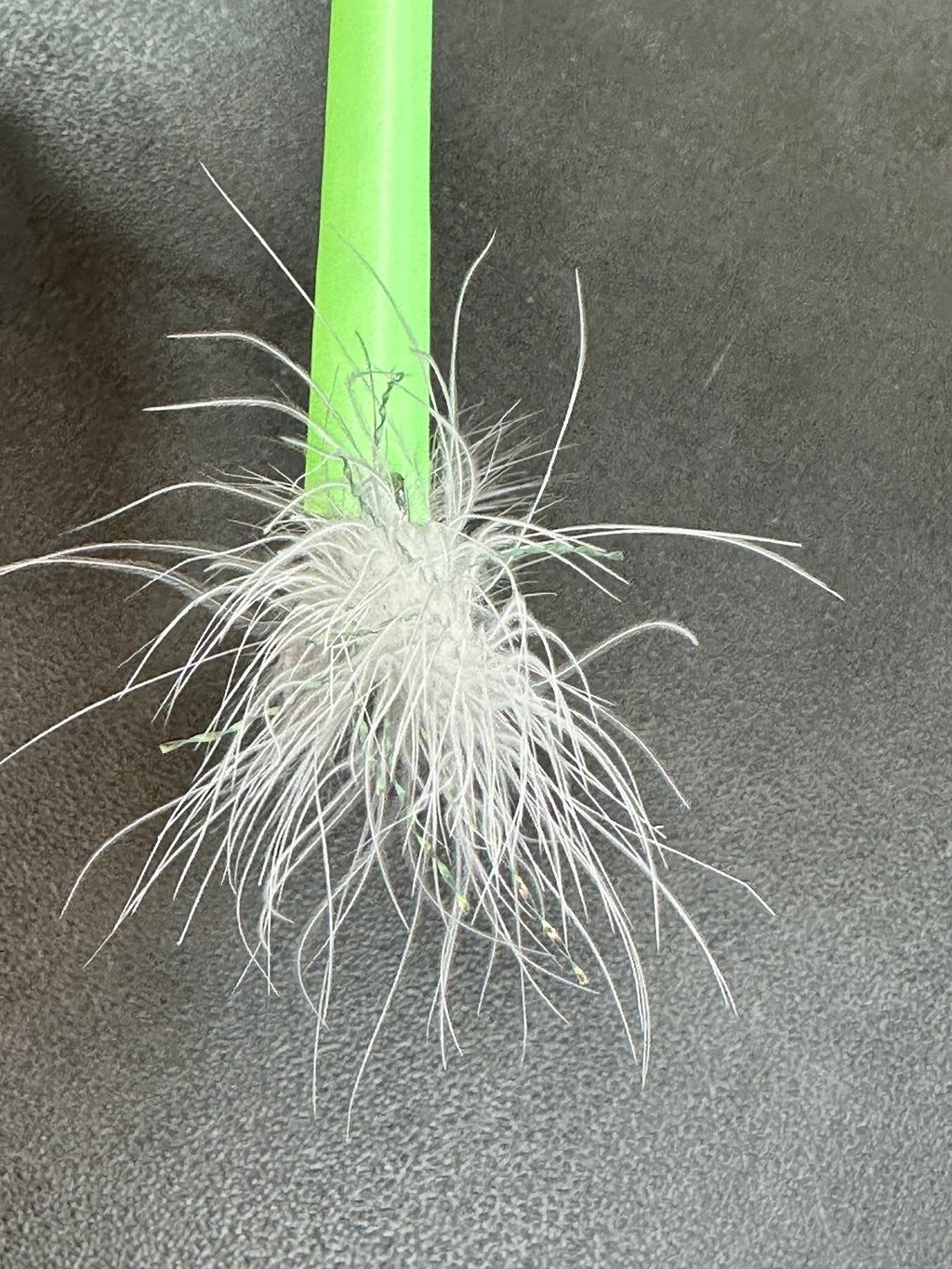 White Woolly Bugger Hand-Tied Fly Jigs Size 8 | 5 Pack Beadhead Streamer Flies