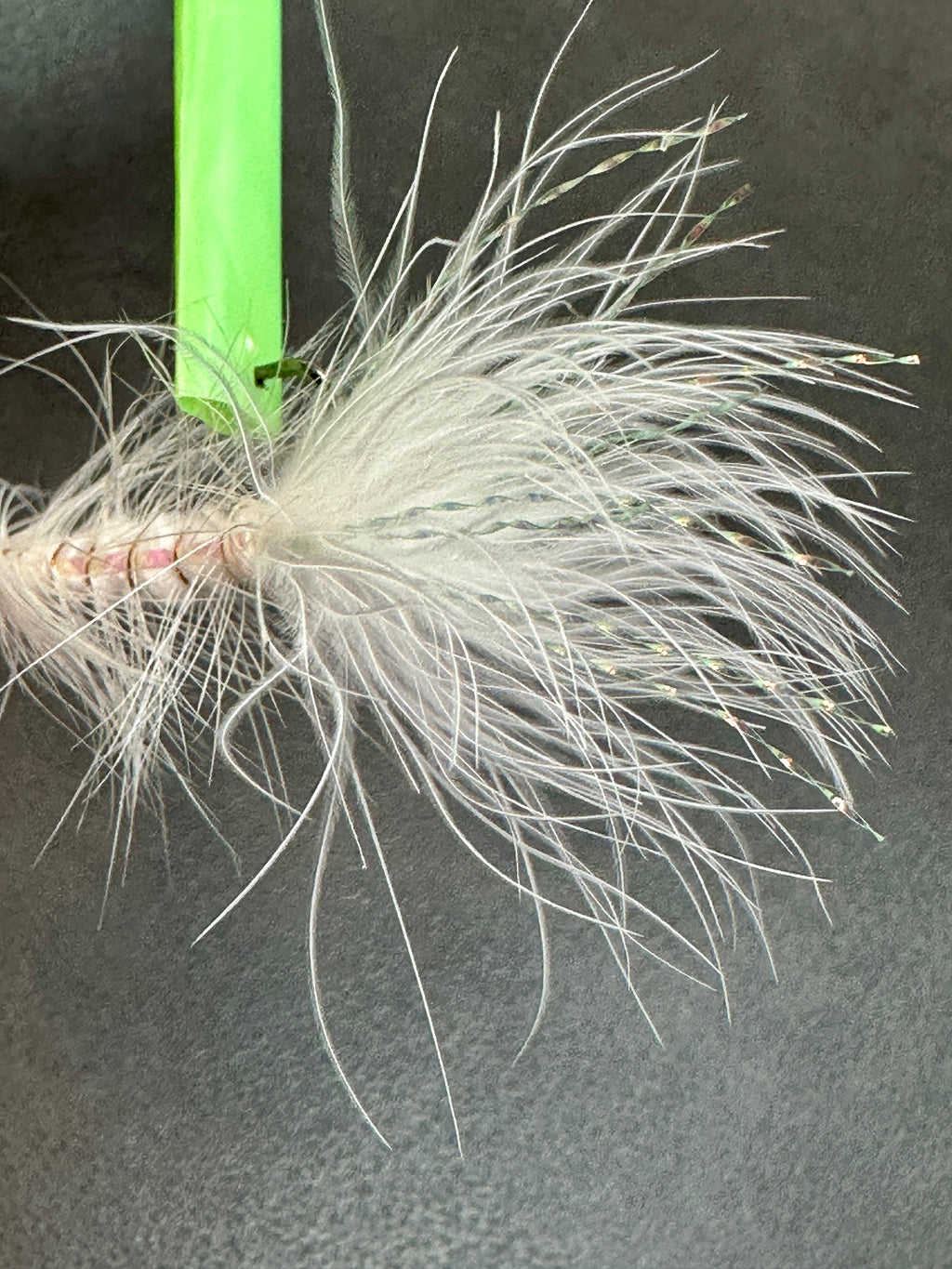 White Woolly Bugger Hand-Tied Fly Jigs Size 8 | 5 Pack Beadhead Streamer Flies