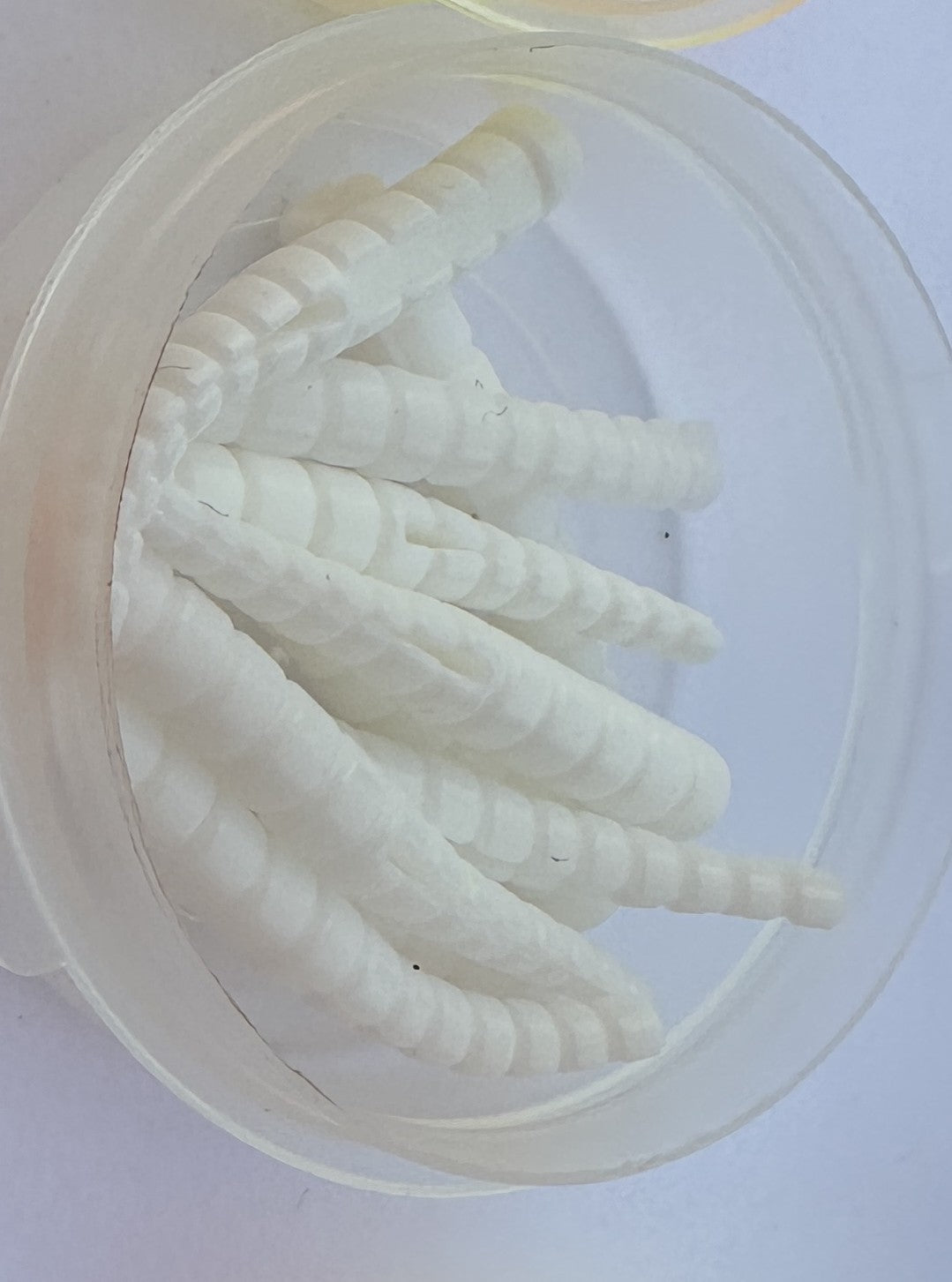 10pc Split Tail Trout Magnet Grub Kit | Orange/Chartreuse + White | 2 for $6.99