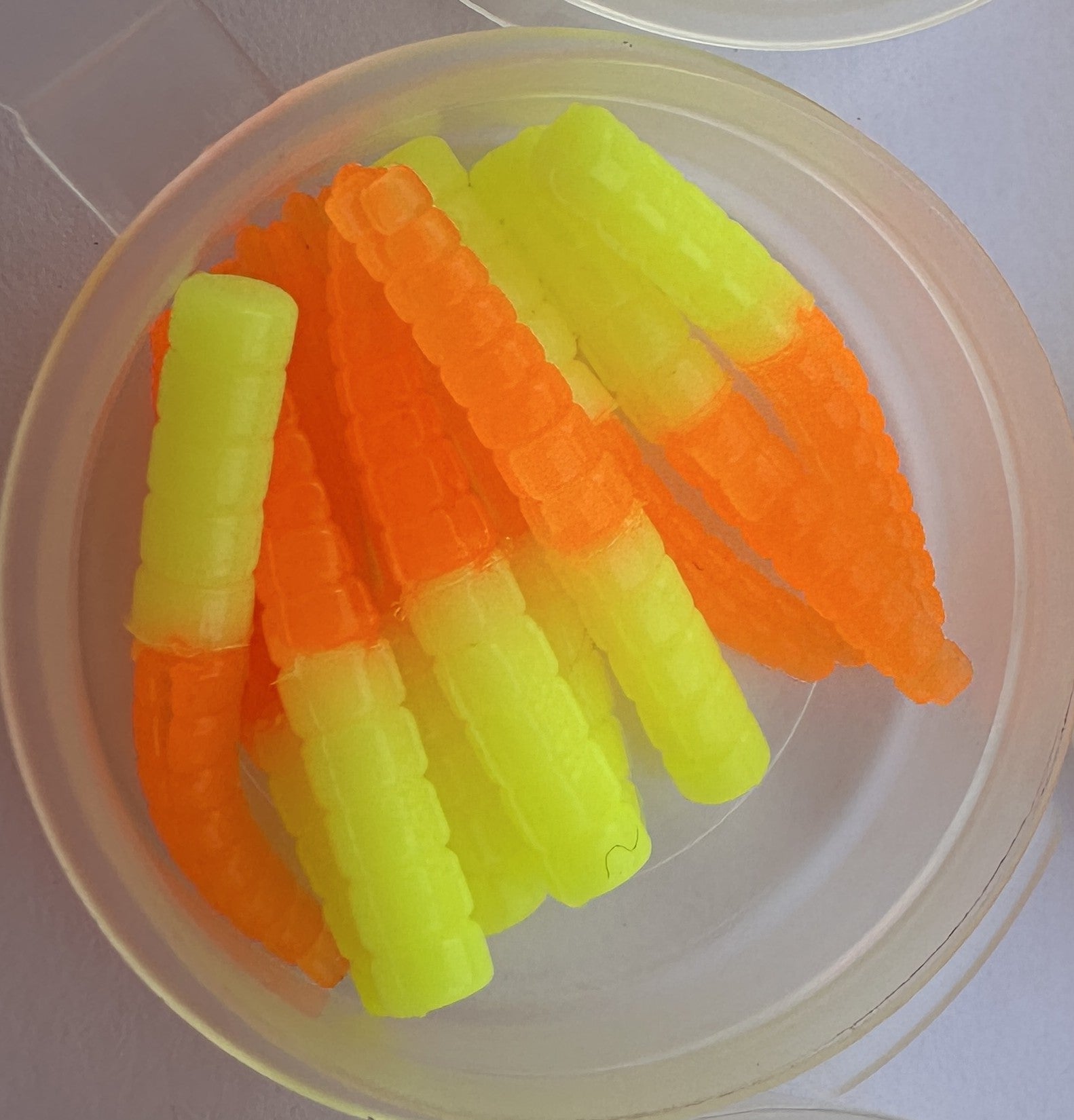 10pc Split Tail Trout Magnet Grub Kit | Orange/Chartreuse + White | 2 for $6.99