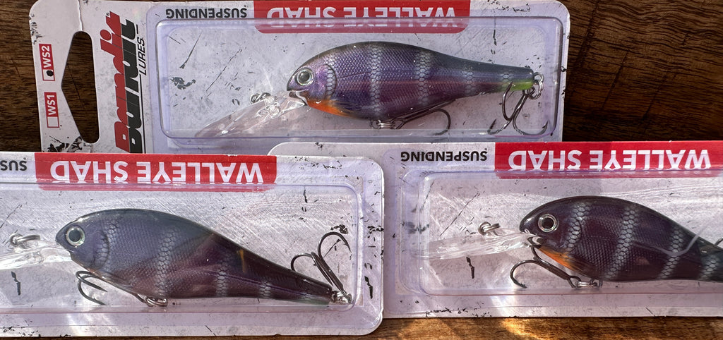 Bandit Suspending Walleye Shad WS2 Crankbait 8-10 Ft NEW