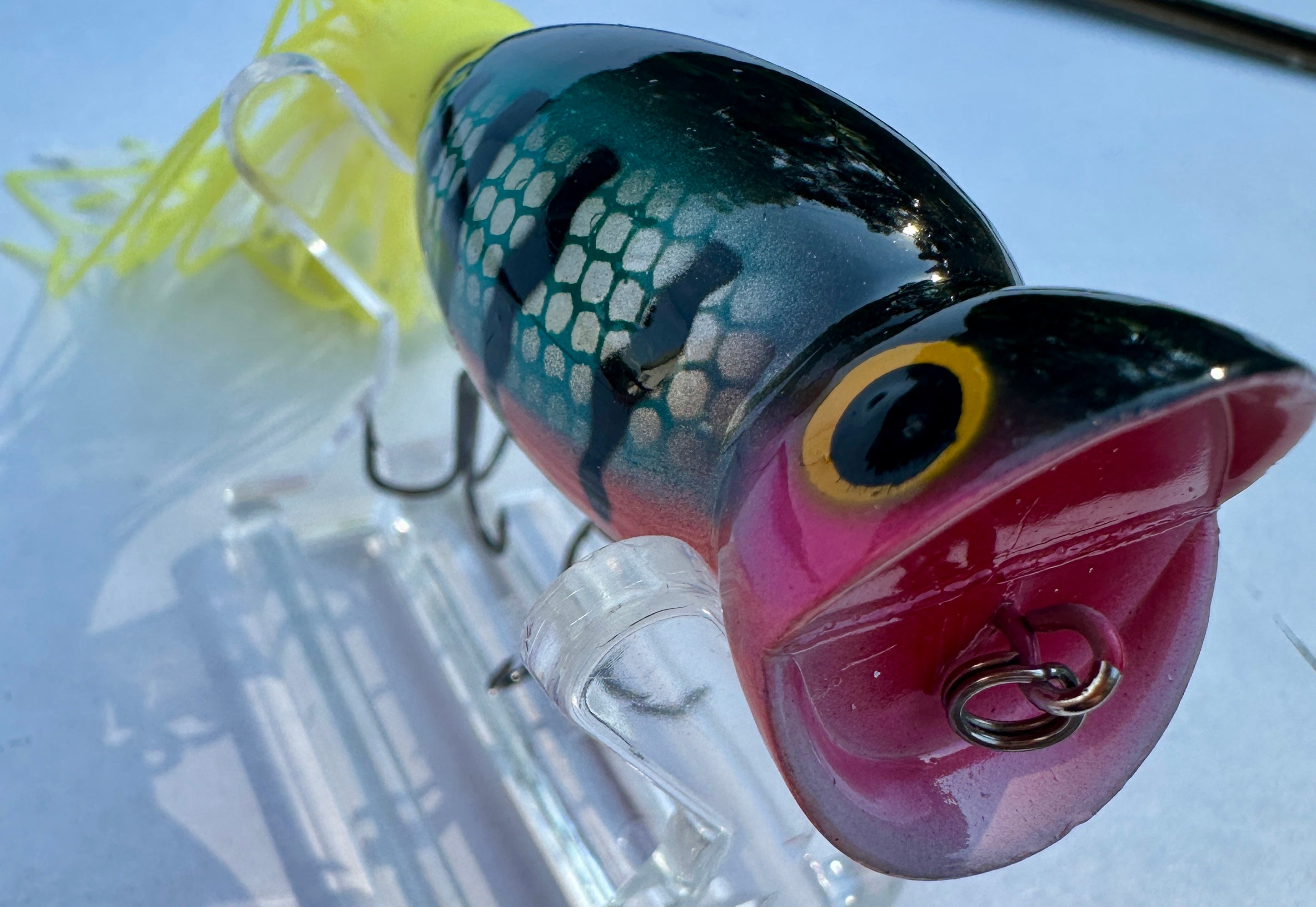 Hula Popper Topwater Bass Fishing Lure 3" Floating Popper Choose Color