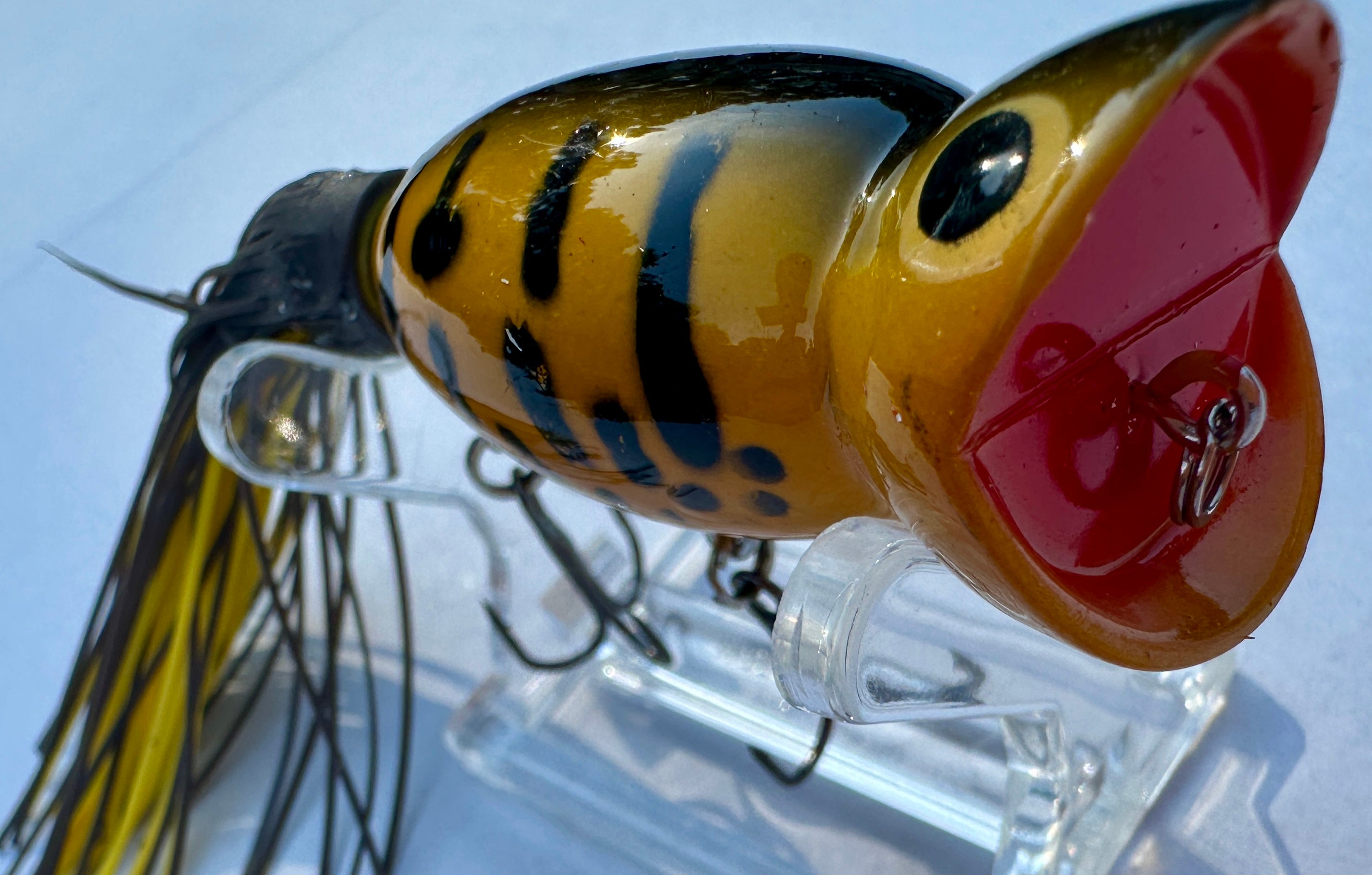 Hula Popper Topwater Bass Fishing Lure 3" Floating Popper Choose Color