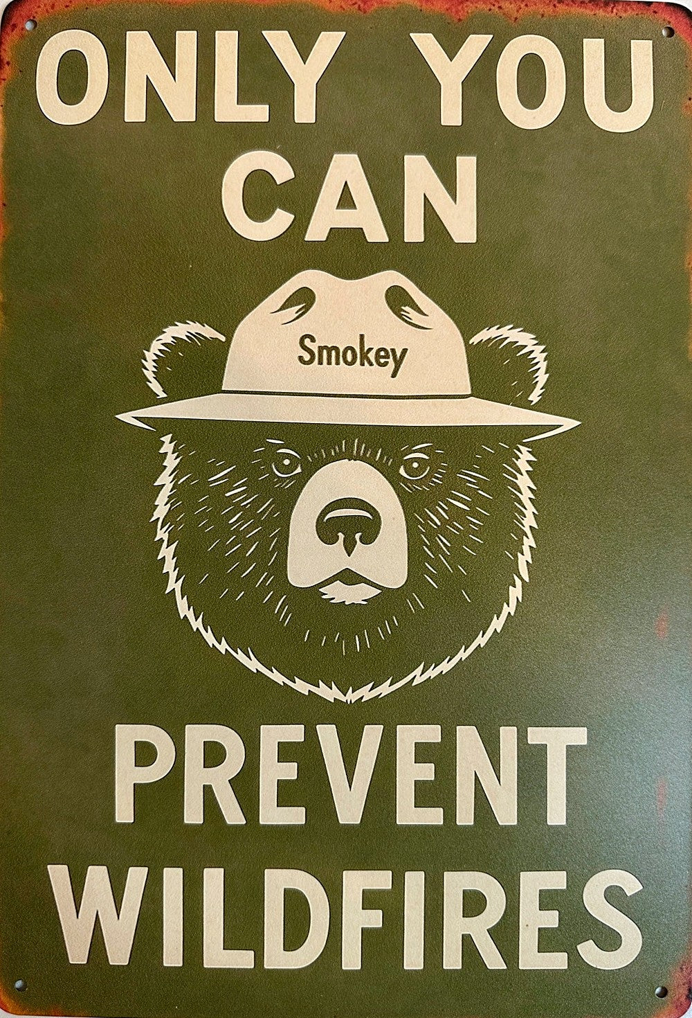 Smokey Tin Sign — Only You Can Prevent Wildfires 8" x 11.75"